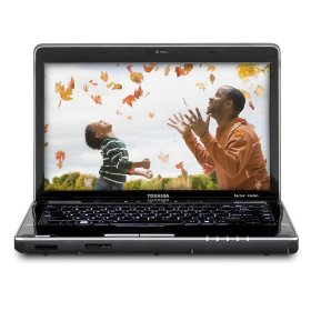 Toshiba Satellite M505-S4985-T 14.0-Inch Laptop (Windows 7 Home Premium)