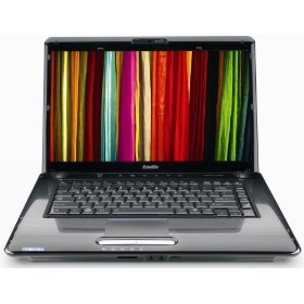 Toshiba Satellite A355-S6930 16.0-Inch Notebook